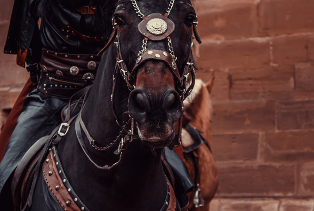 穿着中世纪的马图片下载