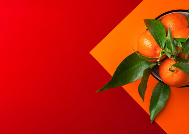 成熟鲜亮的生橘子在枝上与绿色的叶子碗在图形的双色橙红色背景。中国新年繁荣吉祥的观念。干净简约的风格。俯视图拷贝空间图片下载