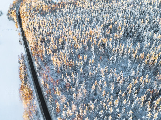 鸟瞰图一辆汽车在冬天的道路在森林。冬天的乡村景观。航拍雪域森林与一辆汽车在道路上。无人机从上面拍下的。航拍照片。车运动图片下载
