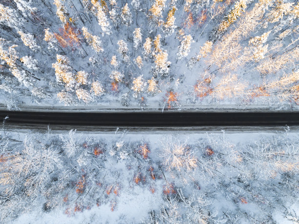 鸟瞰图一辆汽车在冬天的道路在森林。冬天的乡村景观。航拍雪域森林与一辆汽车在道路上。无人机从上面拍下的。航拍照片。车运动图片下载