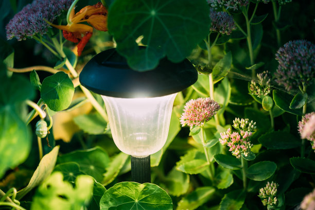 太阳能花园灯，花坛灯笼。花园的设计。太阳能灯图片下载