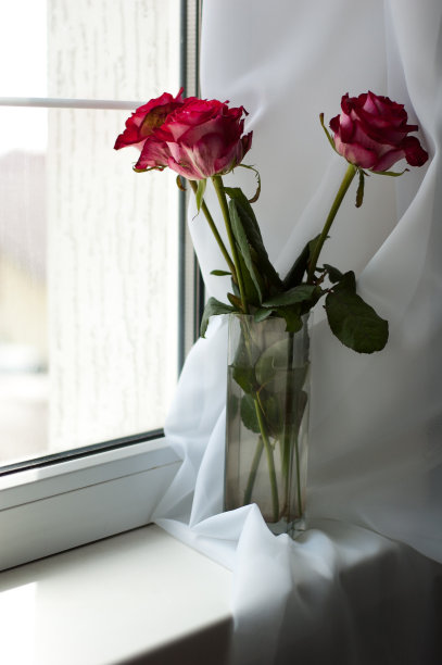 窗户上花瓶里的红玫瑰图片下载