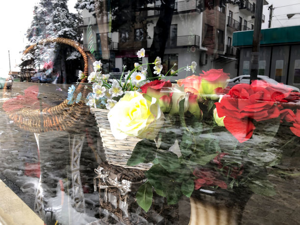 城市街道上的商店橱窗，橱窗玻璃中反射出雪树和街道，巴库里阿尼的冬天图片下载