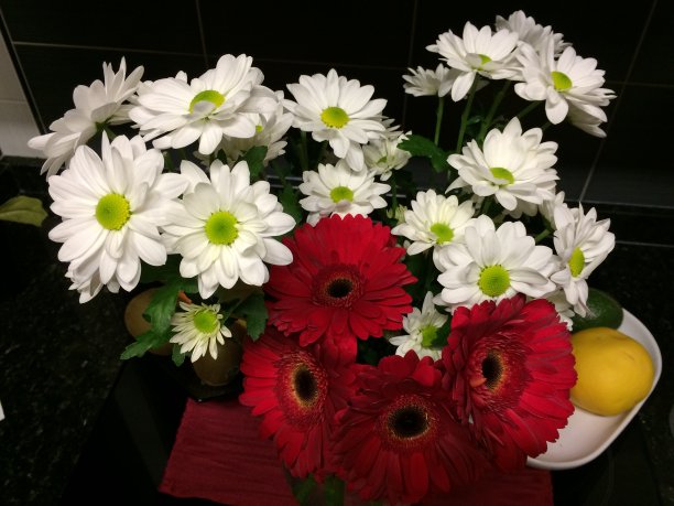 束鲜花图片下载