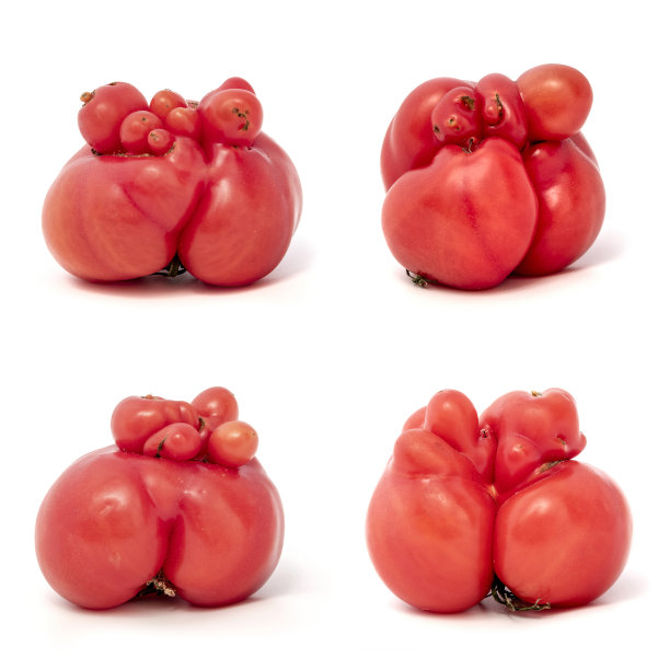 西红柿图片下载