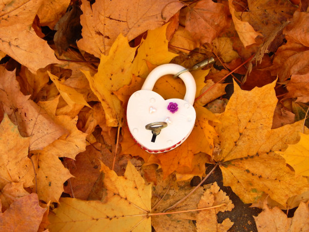 白色婚礼锁在枫叶图片下载