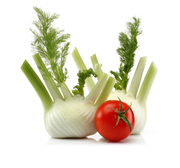 新鲜的茴香和番茄图片下载