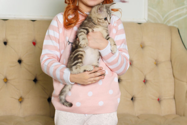 女孩抱着一只条纹小猫图片下载