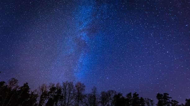 美丽的夜空和银河的森林。图片下载