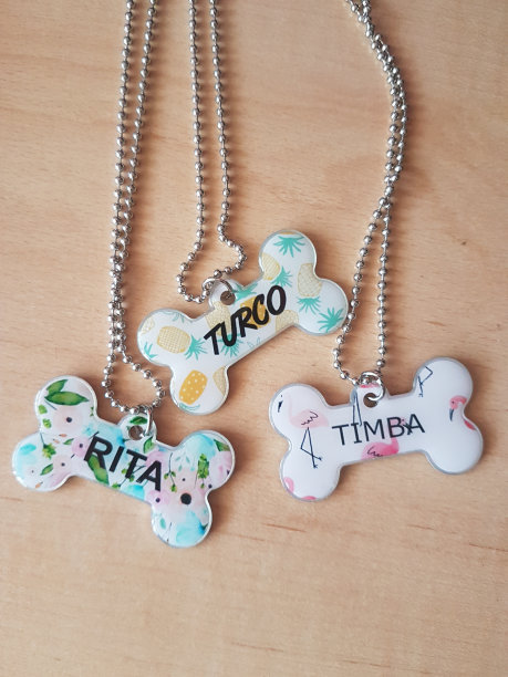 骨头状狗项圈图片下载