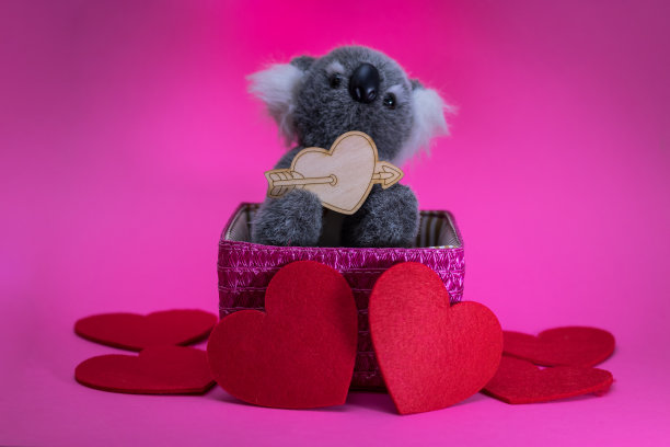 可爱的玩具考拉，红色的心在粉红色的篮子图片下载