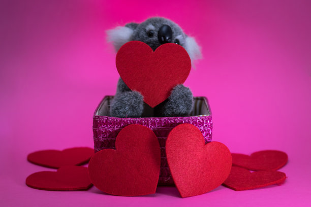 可爱的玩具考拉，红色的心在粉红色的篮子图片下载