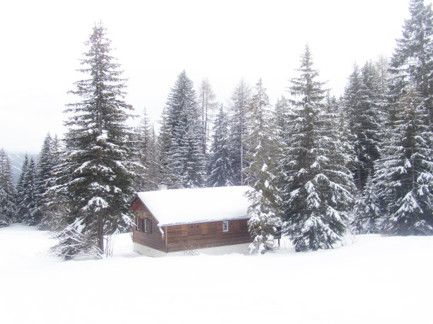 冬天瑞士阿尔卑斯山上的一间可爱的小木屋图片下载