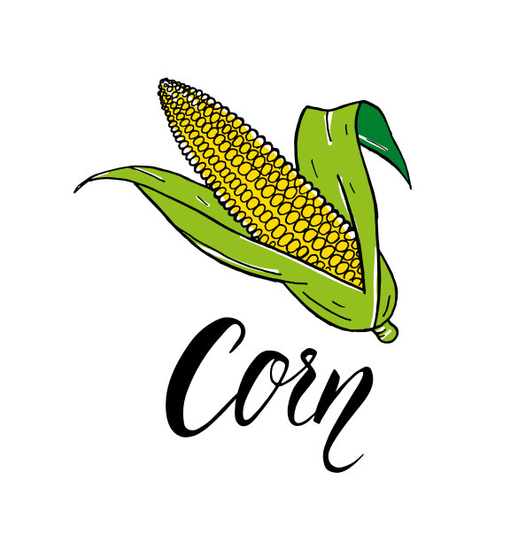 玉米手绘刻字食品图片下载
