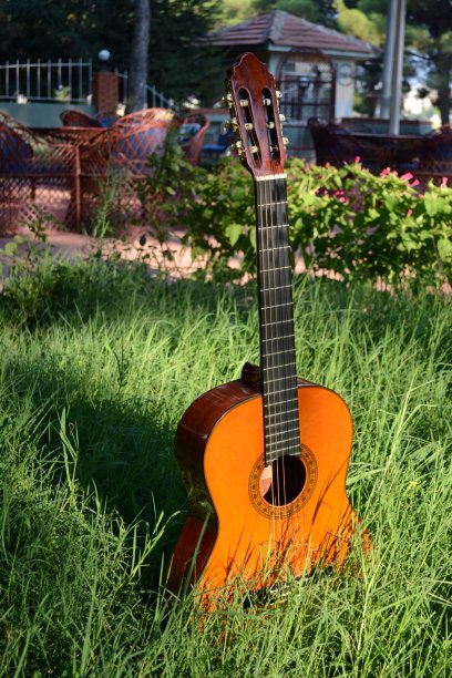 草丛中的吉他图片下载