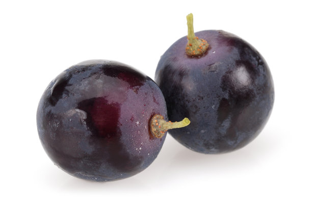 白色背景上的黑葡萄浆果图片下载