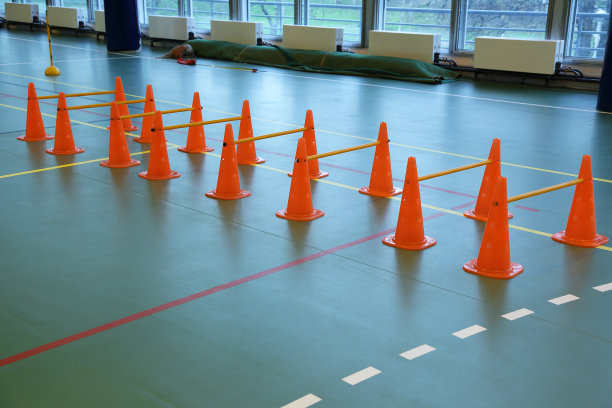 体育器材在学校体育馆图片下载