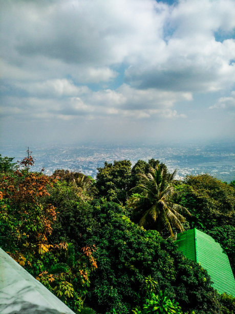 视图上图片下载