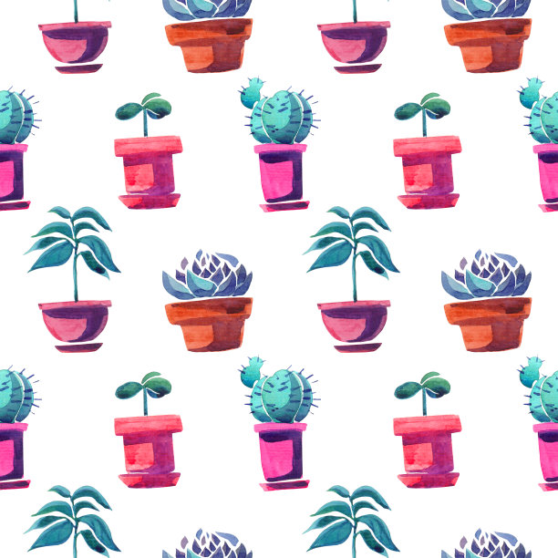 陶瓷花盆中多肉植物的彩色图案图片下载