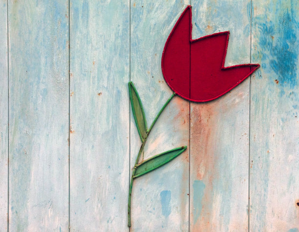 铁郁金香花纹理背景。图片下载