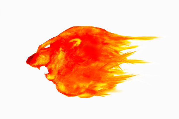 狮头用油彩画。图片下载