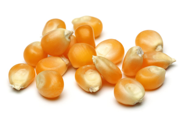 一堆金黄的玉米粒图片下载