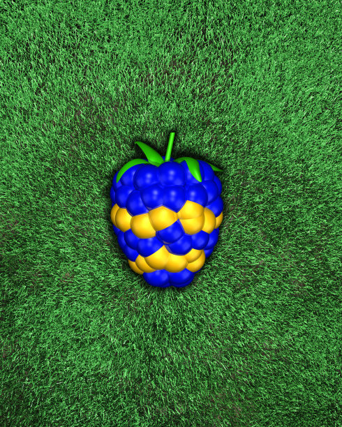 在草地上，黄色和蓝色的浆果，俯视图，照明。3d插图。5 k。4000 x 5000像素。图片下载