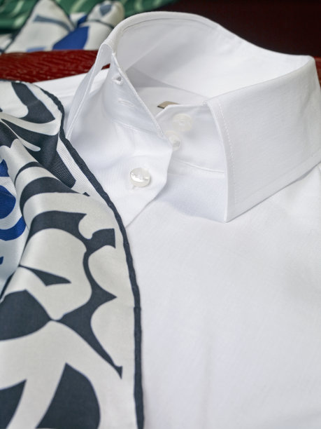 衬衫,围巾图片下载