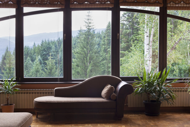 现代公寓视野与沙发和窗户看树图片下载