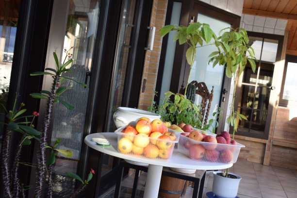 收获苹果图片下载