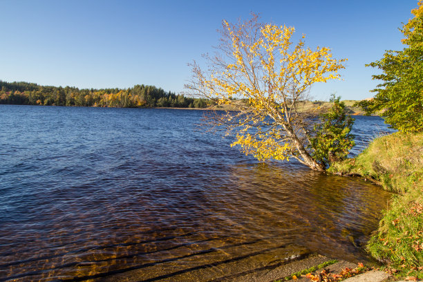 秋天的颜色和湖在图片的岩石国家湖岸在密歇根州图片下载