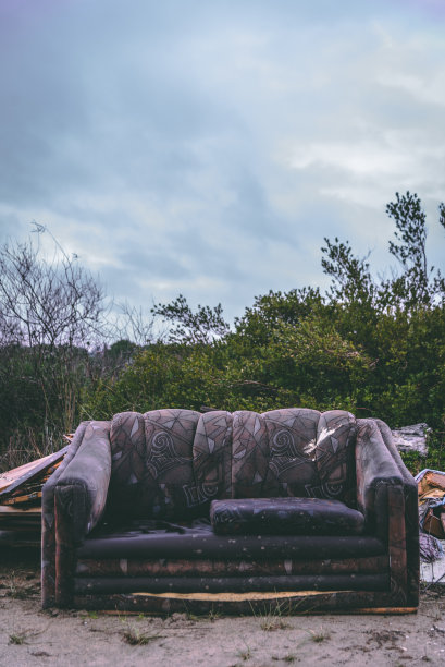 森林里的沙发图片下载