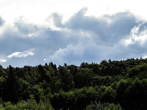 抽象图片-森林和多云的天空。图片下载