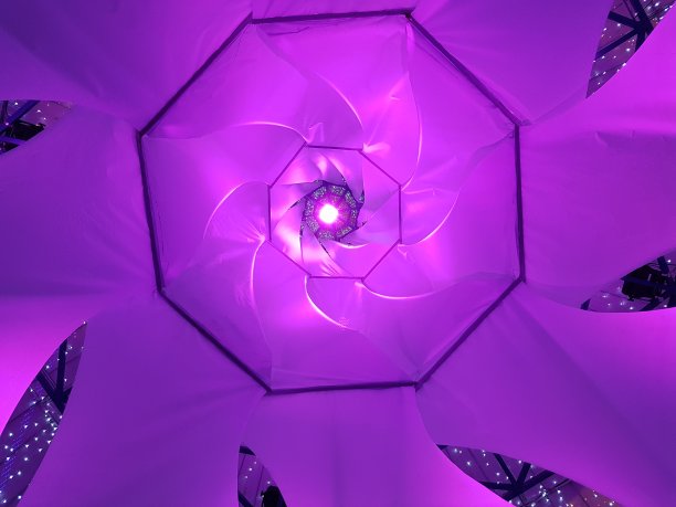 对称的紫色图片下载