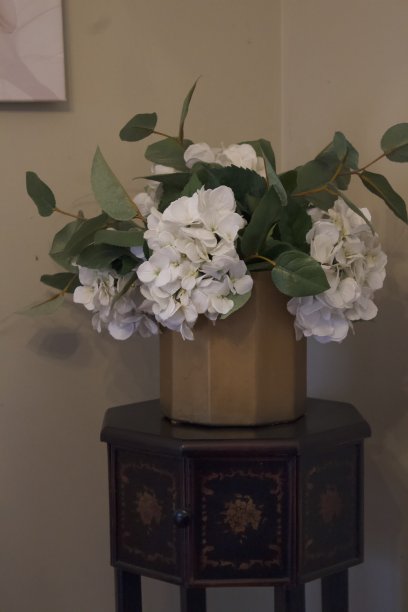 白色的花朵图片下载