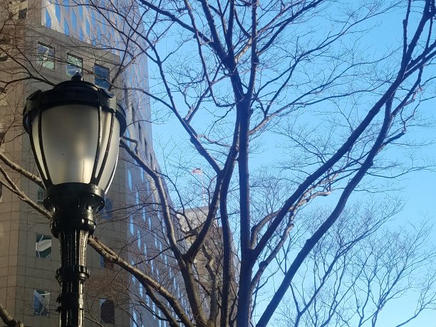 街灯的特写与冬天的树和天空在背景的框架左侧图片下载