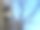 街灯的特写与冬天的树和天空在背景的框架左侧图片下载