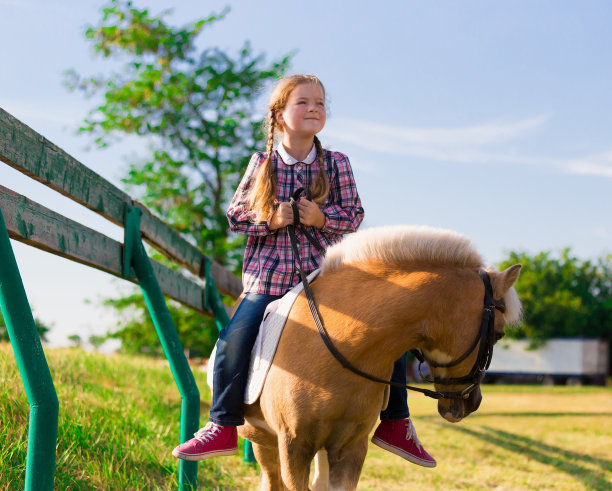 小马。景观。骑图片下载