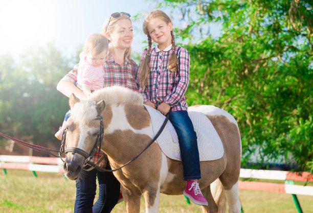小马。景观图片下载