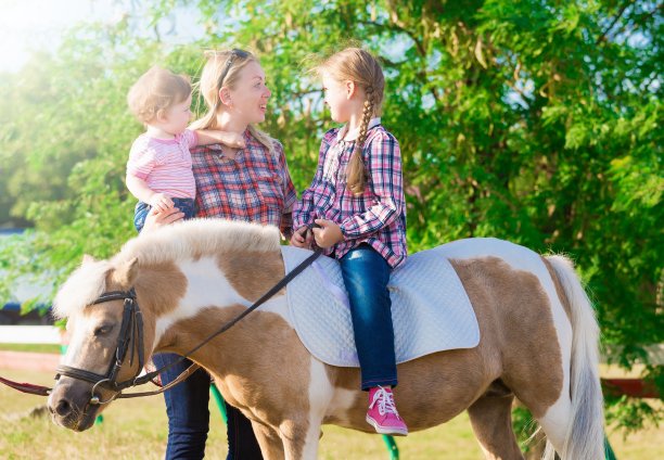 小马。景观图片下载