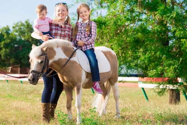 小马。景观图片下载