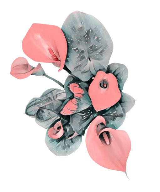 单一的马蹄莲模式。图片下载