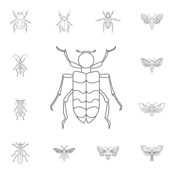 甲虫图标。简单元素说明。甲虫符号设计来自昆虫集合。可用于网络和手机图片下载