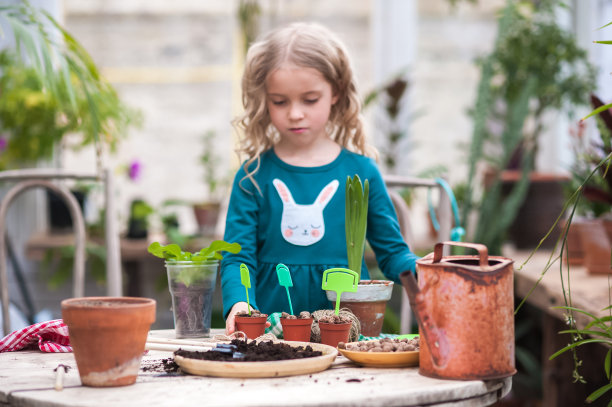 一个穿绿色连衣裙的小女孩在冬季的花园里移植盆花。园艺女孩帮助移植室内花卉图片下载