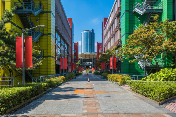 市内美丽的公园，有树图片下载