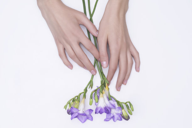 时尚艺术护肤双手和手中的紫花女人。有创意的美丽照片手，坐在桌子上的对比粉色背景。手部抗皱的化妆品图片下载