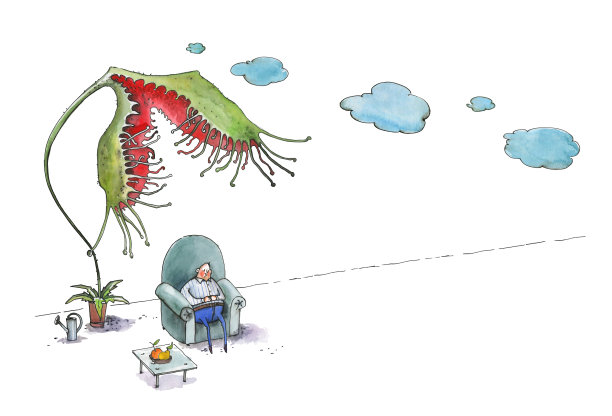 那个胖子睡在一张蓝色的大扶手椅上。一朵Drosera rotundifolaw试图吃人图片下载