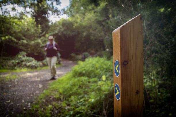 一个女人走在树林里图片下载