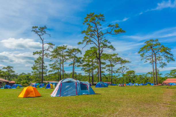 全景露营和帐篷中间的草地在美丽的森林景色图片下载