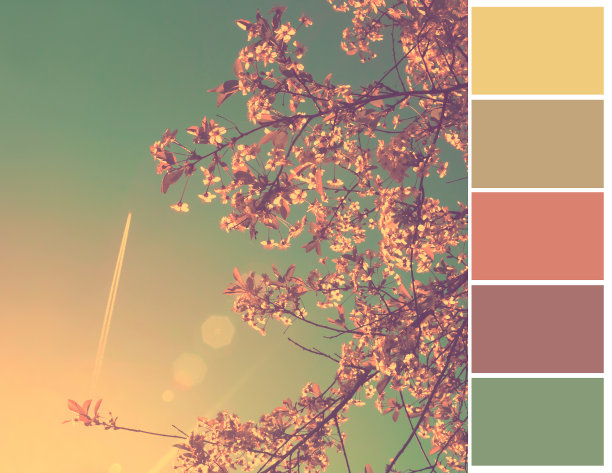 调色板。图片下载